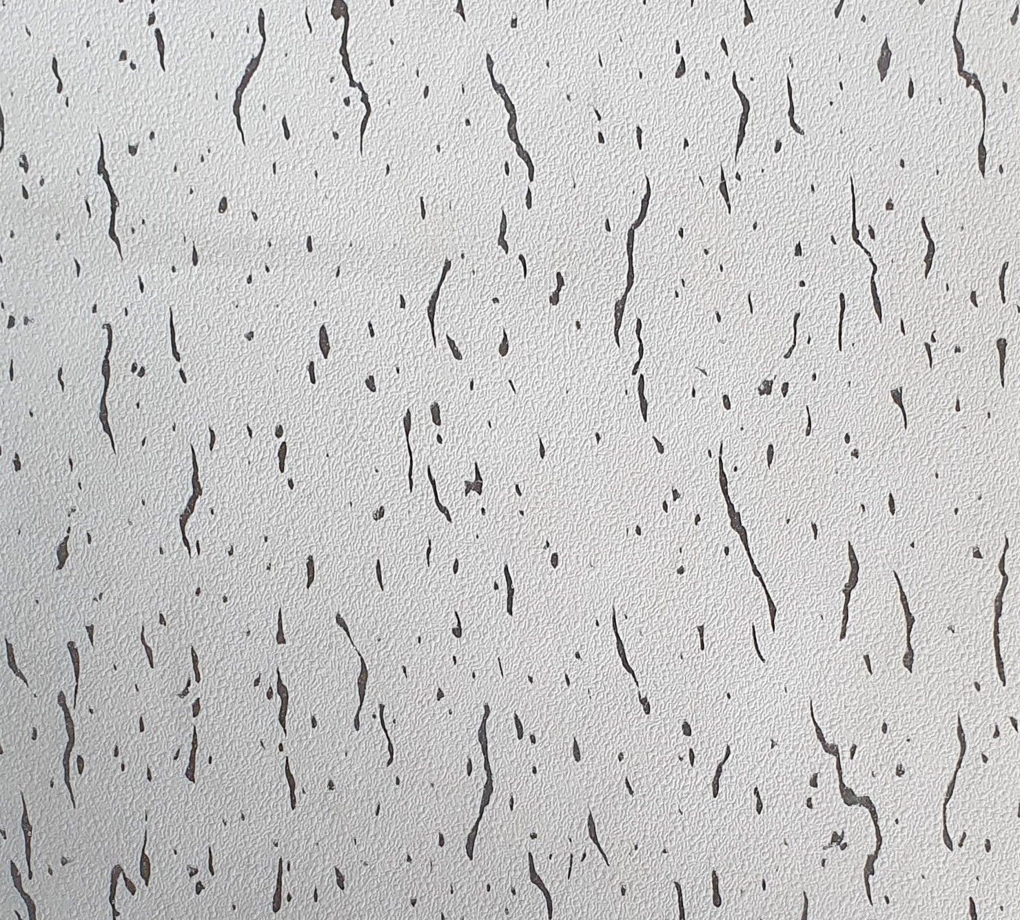 KIRÇILLI MSA PANEL